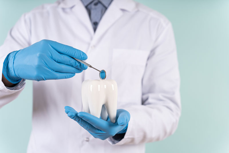 a dental implant dentist holding an oversized dental implant model.